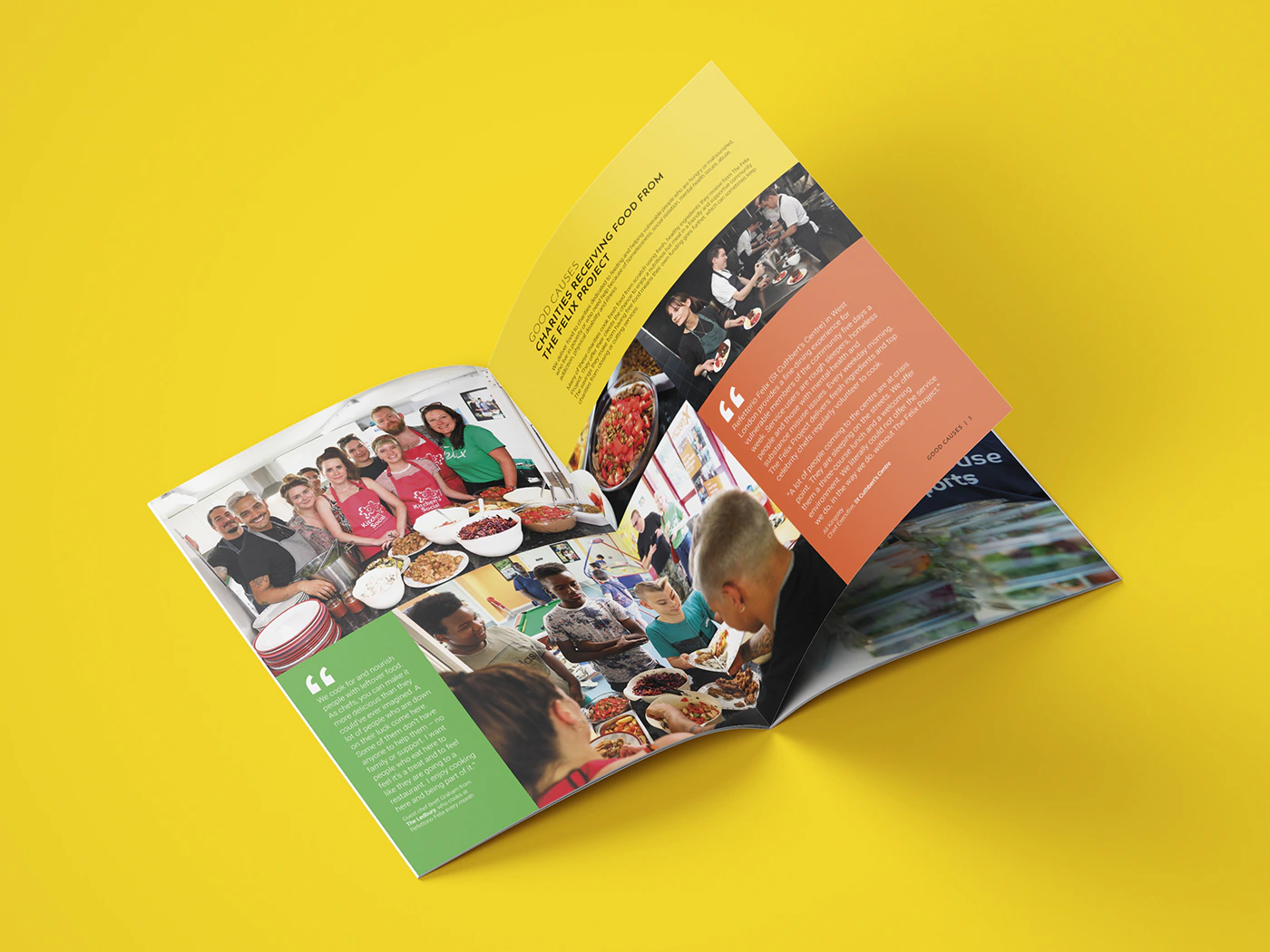 The Felix Project Annual Report Content
