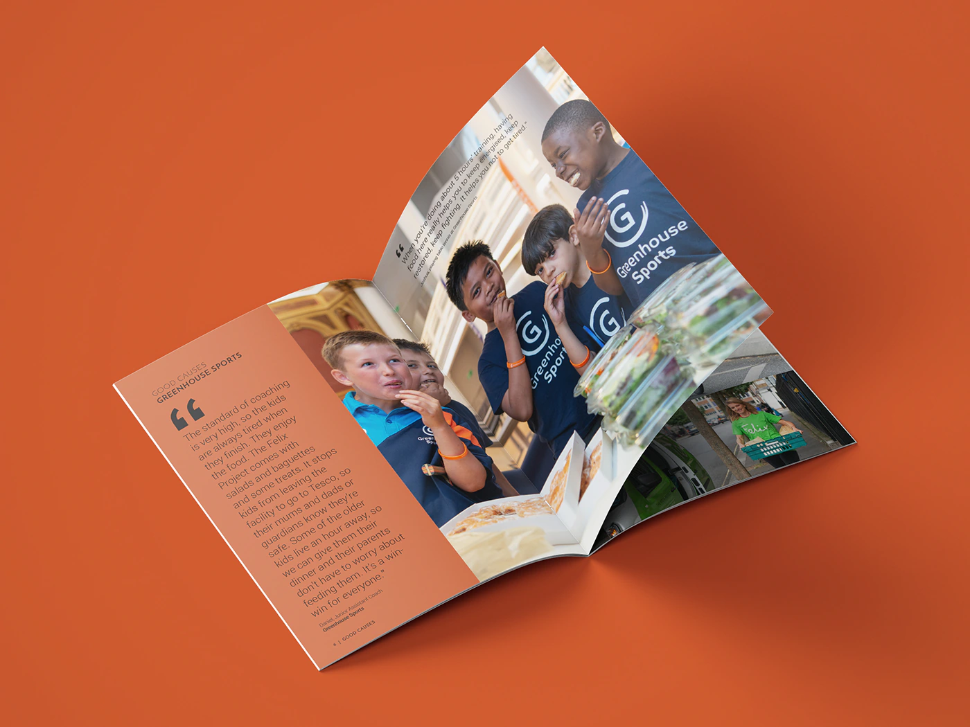 The Felix Project Annual Report Content